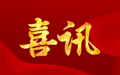 公司順利通過(guò)浙江省企業(yè)技術(shù)中心復(fù)評(píng)，并獲“優(yōu)秀”等級(jí)